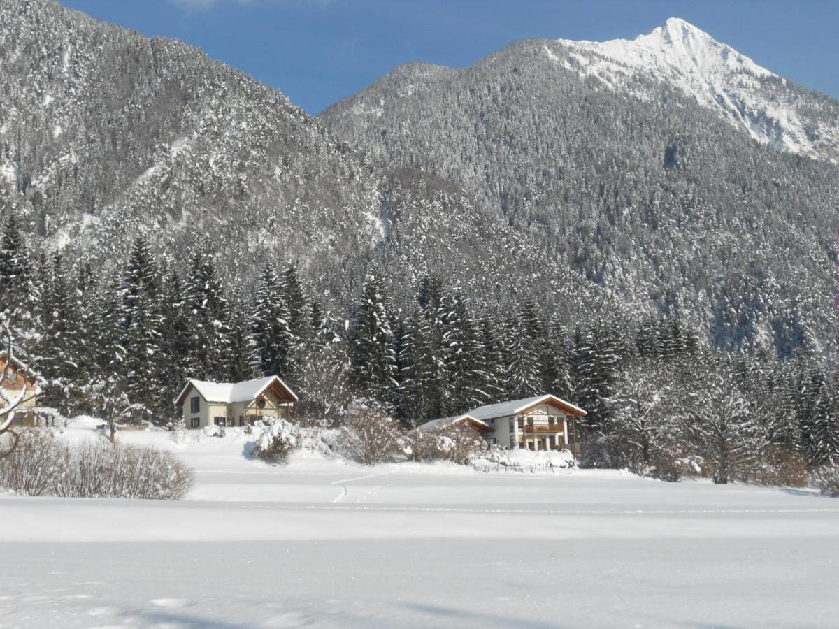 Вілла Haus Jana Гермагор Номер фото